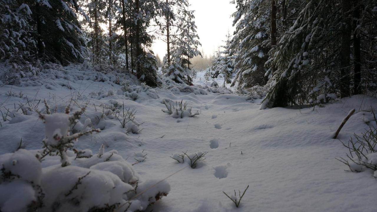 Bjoernvalsfallet Deje Exterior foto